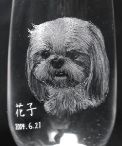 シーズー 肖像画