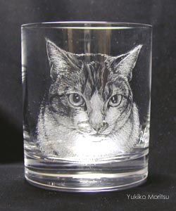 猫 肖像画