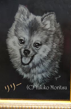 ポメラニアン 肖像画